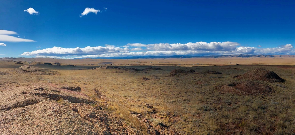 arid field