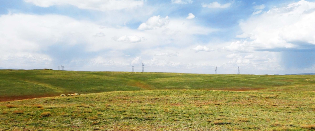 field