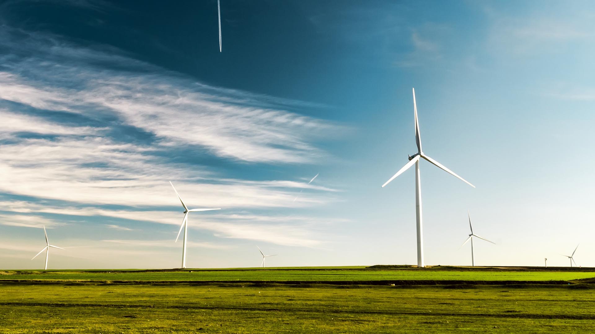wind farm