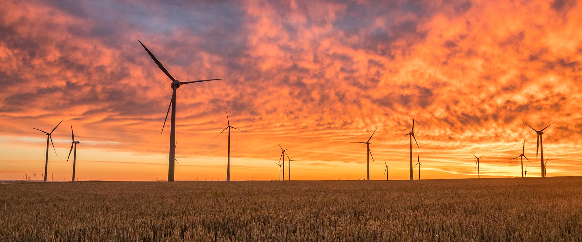 wind farm